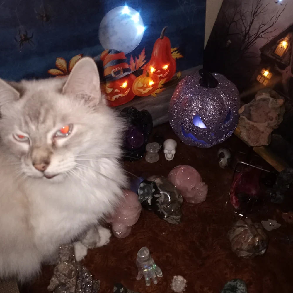 Contest - Picture 9 of 10